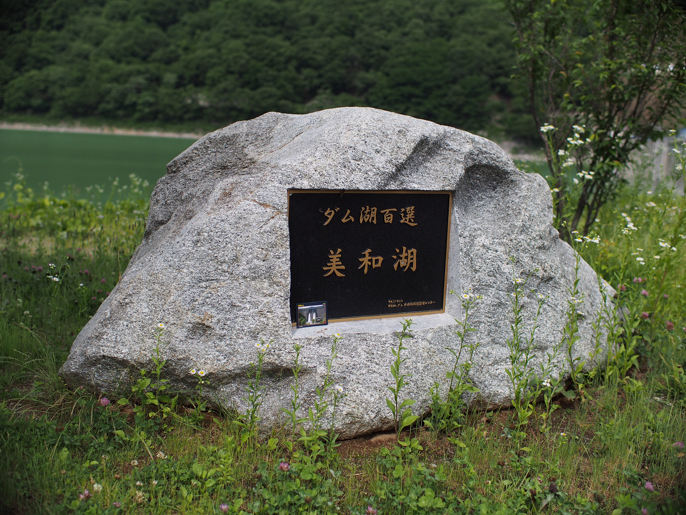 P6230005.jpg