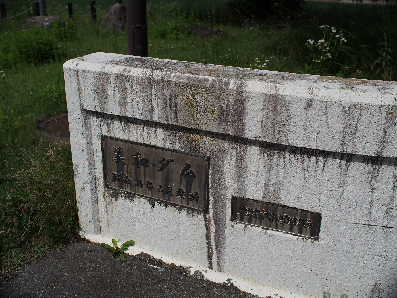 P6230010.jpg