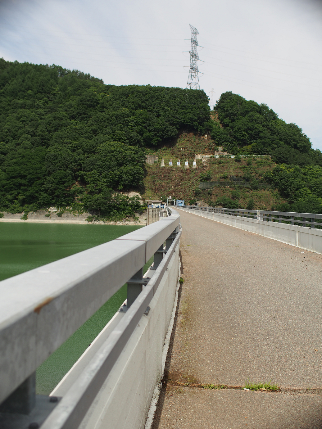 P6230013.jpg