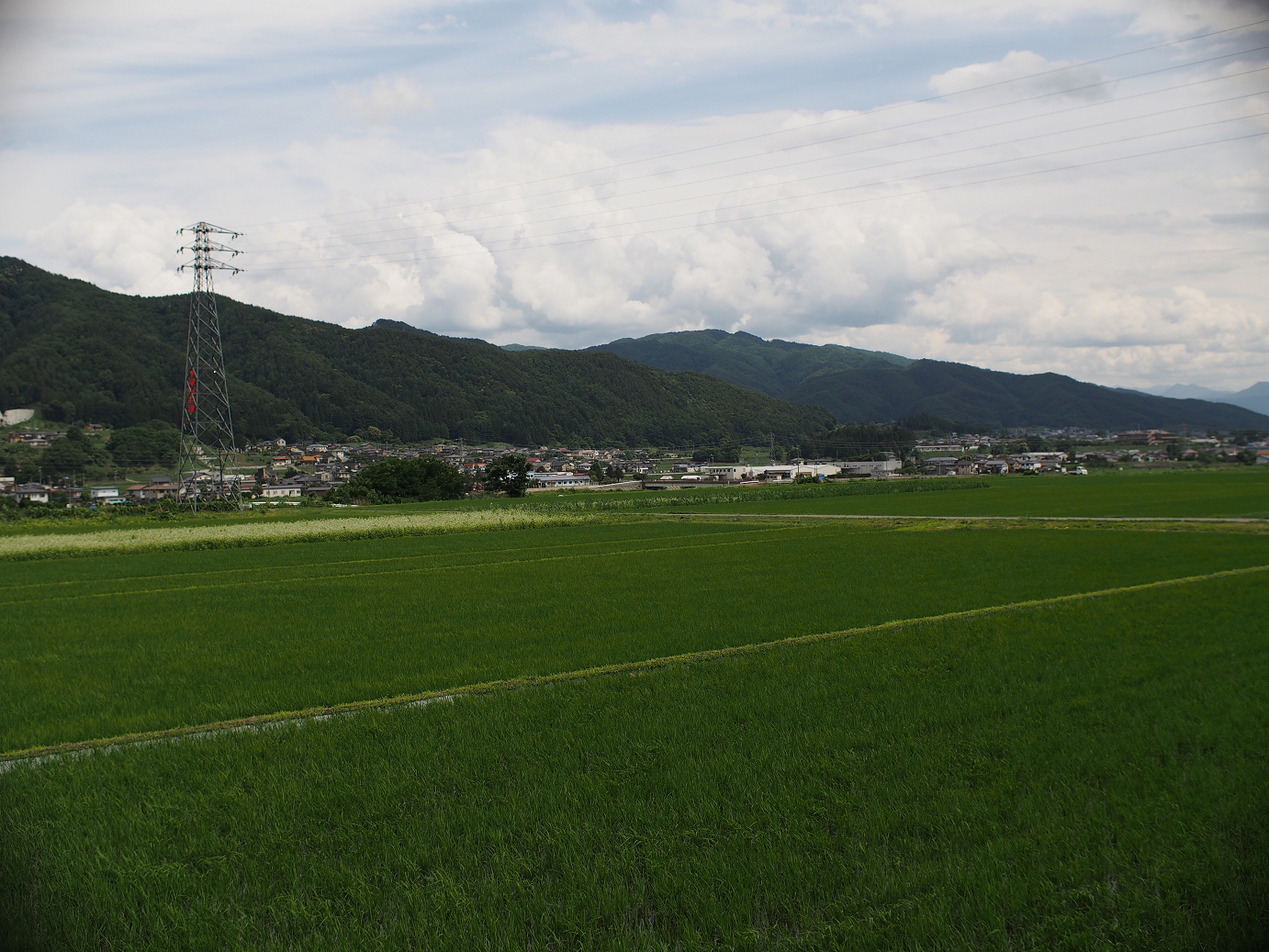 P6230090.jpg