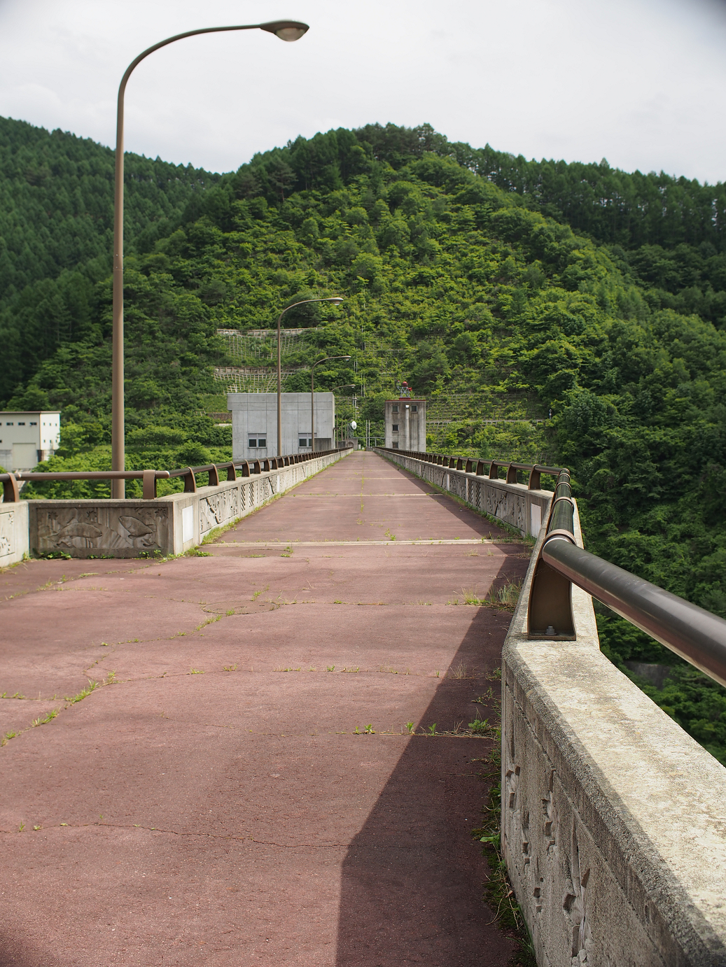P6230111.jpg