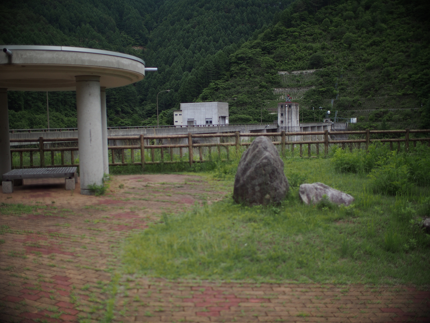 P6230128.jpg