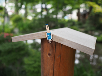 P6230132_thumb.png