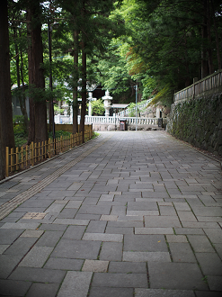 P6230134_thumb.png
