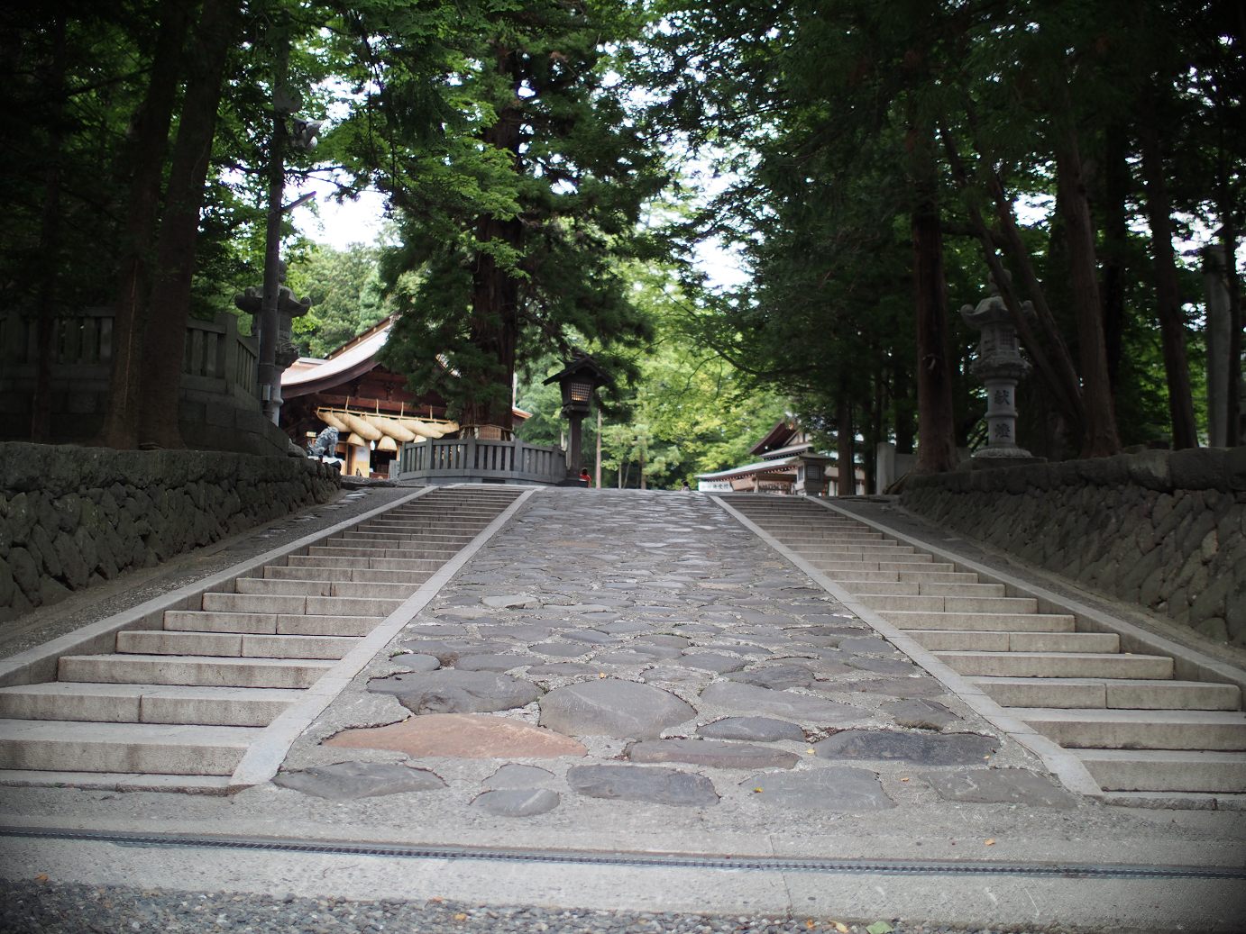 P6230141.jpg