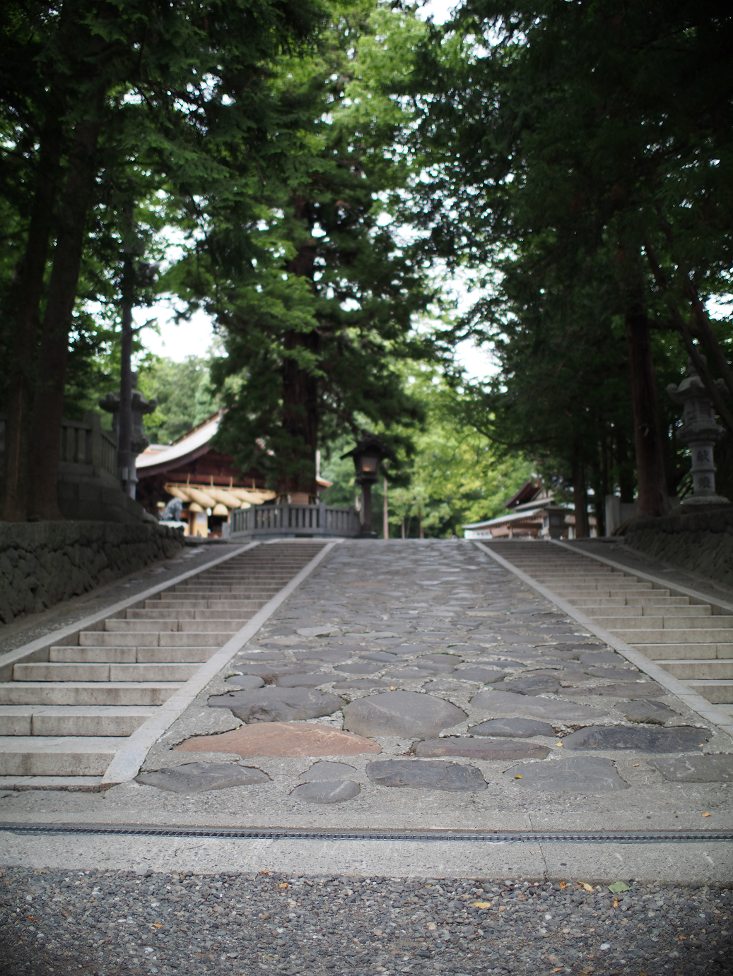 P6230142.jpg