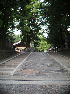 P6230142_thumb.png