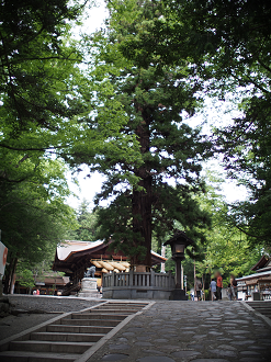 P6230143_thumb.png