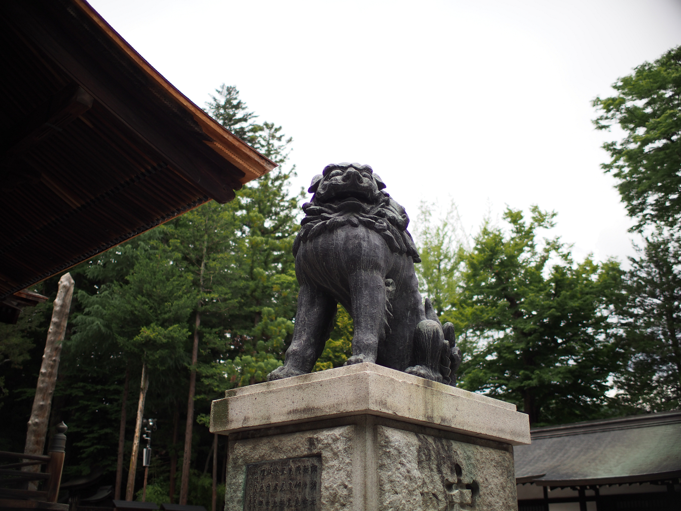 P6230148.jpg