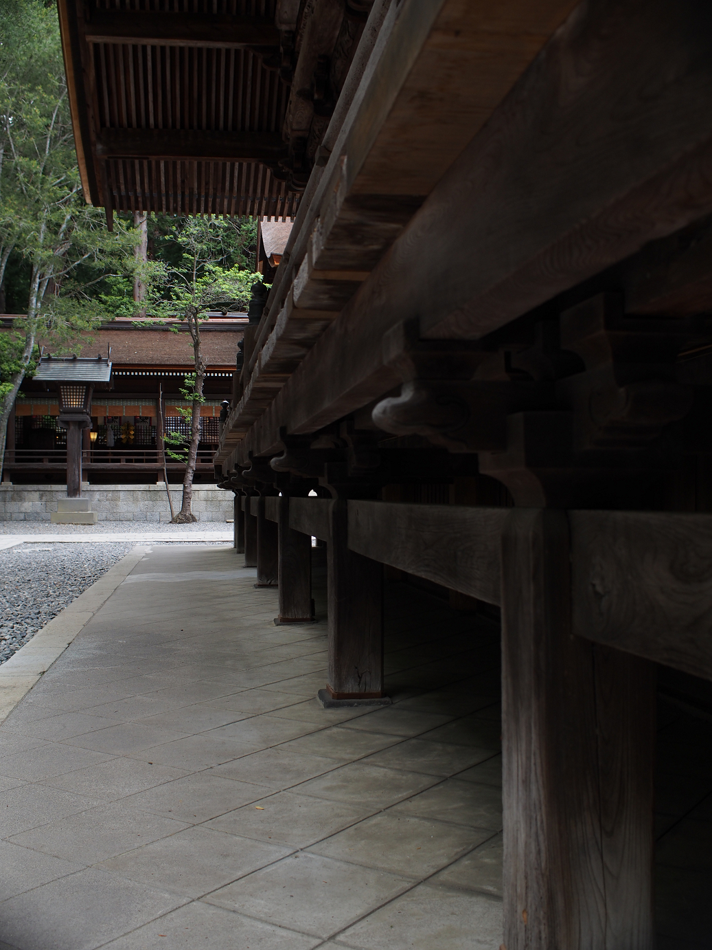 P6230160.jpg
