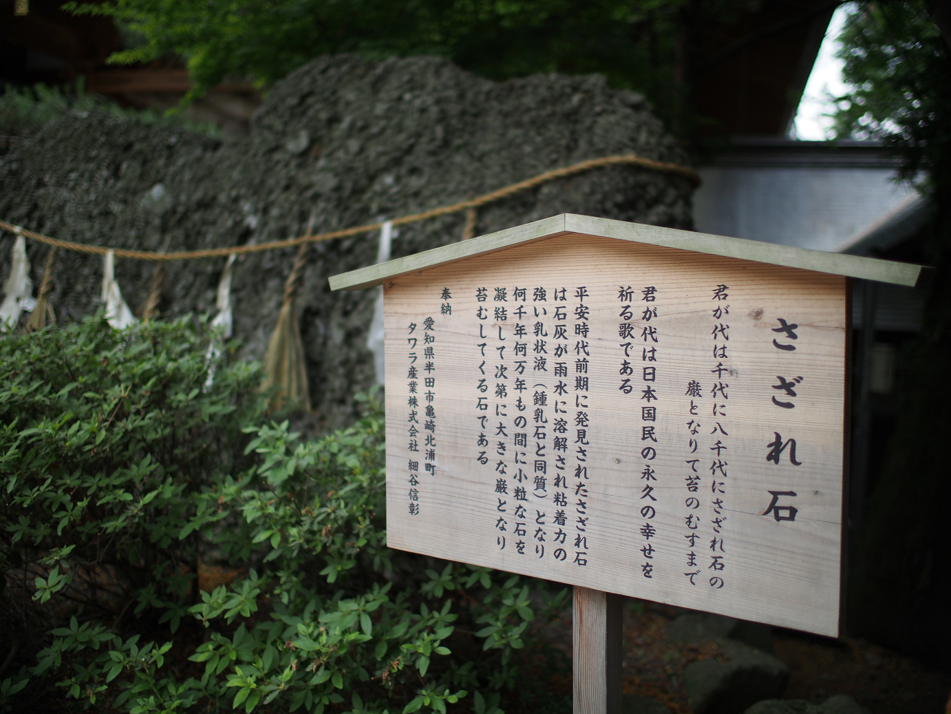 P6230177.jpg