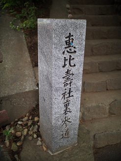 P6230188_thumb.png