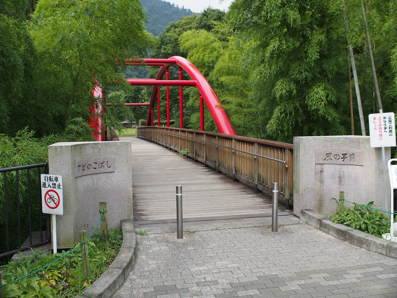 P7270001.jpg