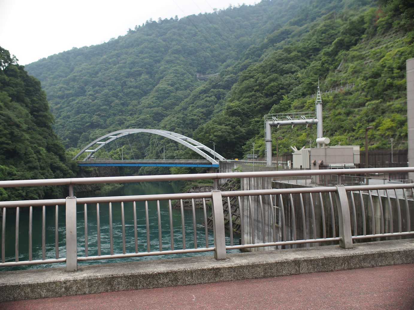 P7270038.jpg