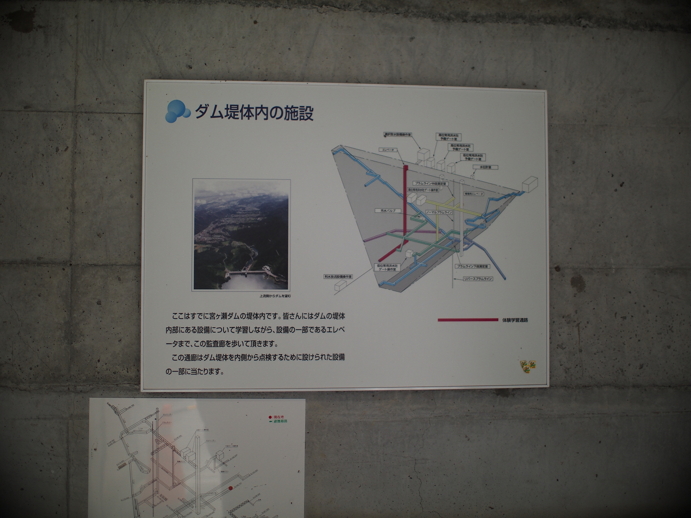 P7270087.jpg