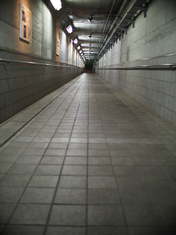 P7270091_thumb.png