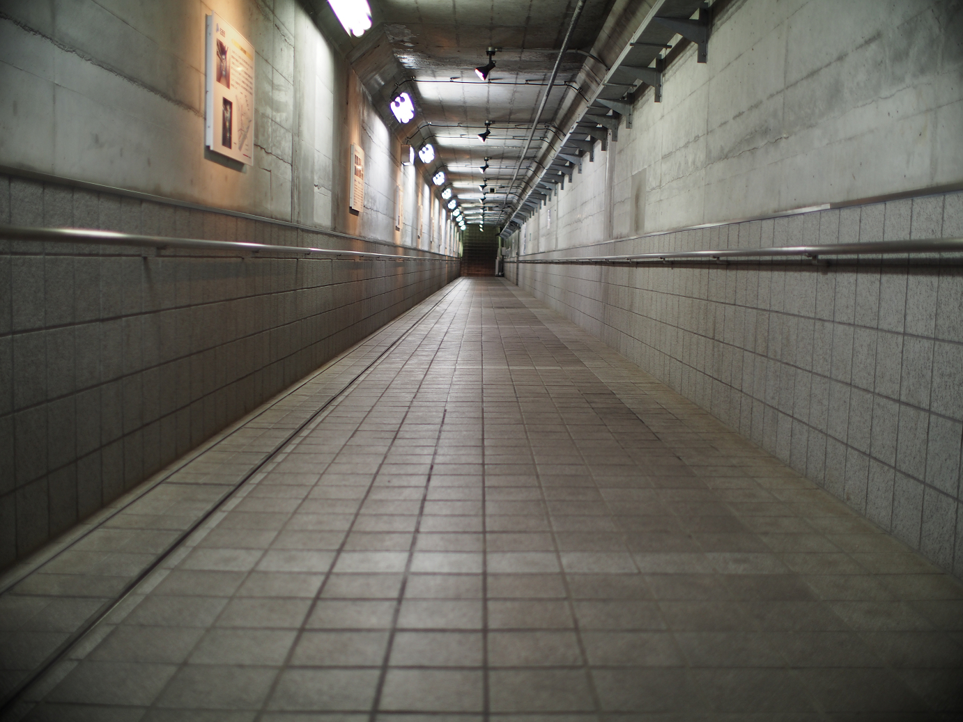 P7270092.jpg
