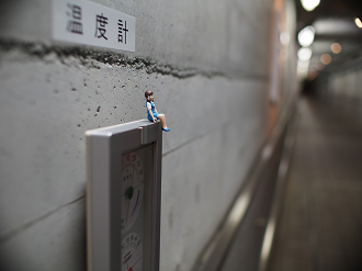 P7270098_thumb.png