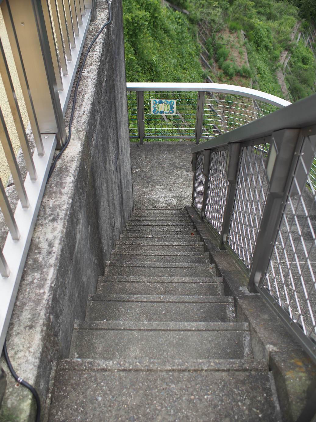 P7270110.jpg