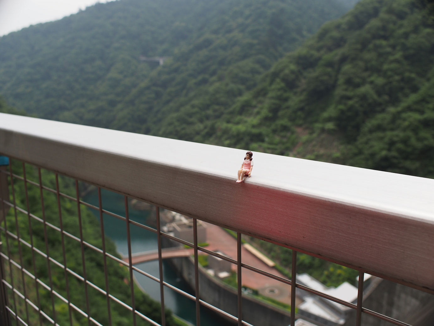 P7270120.jpg