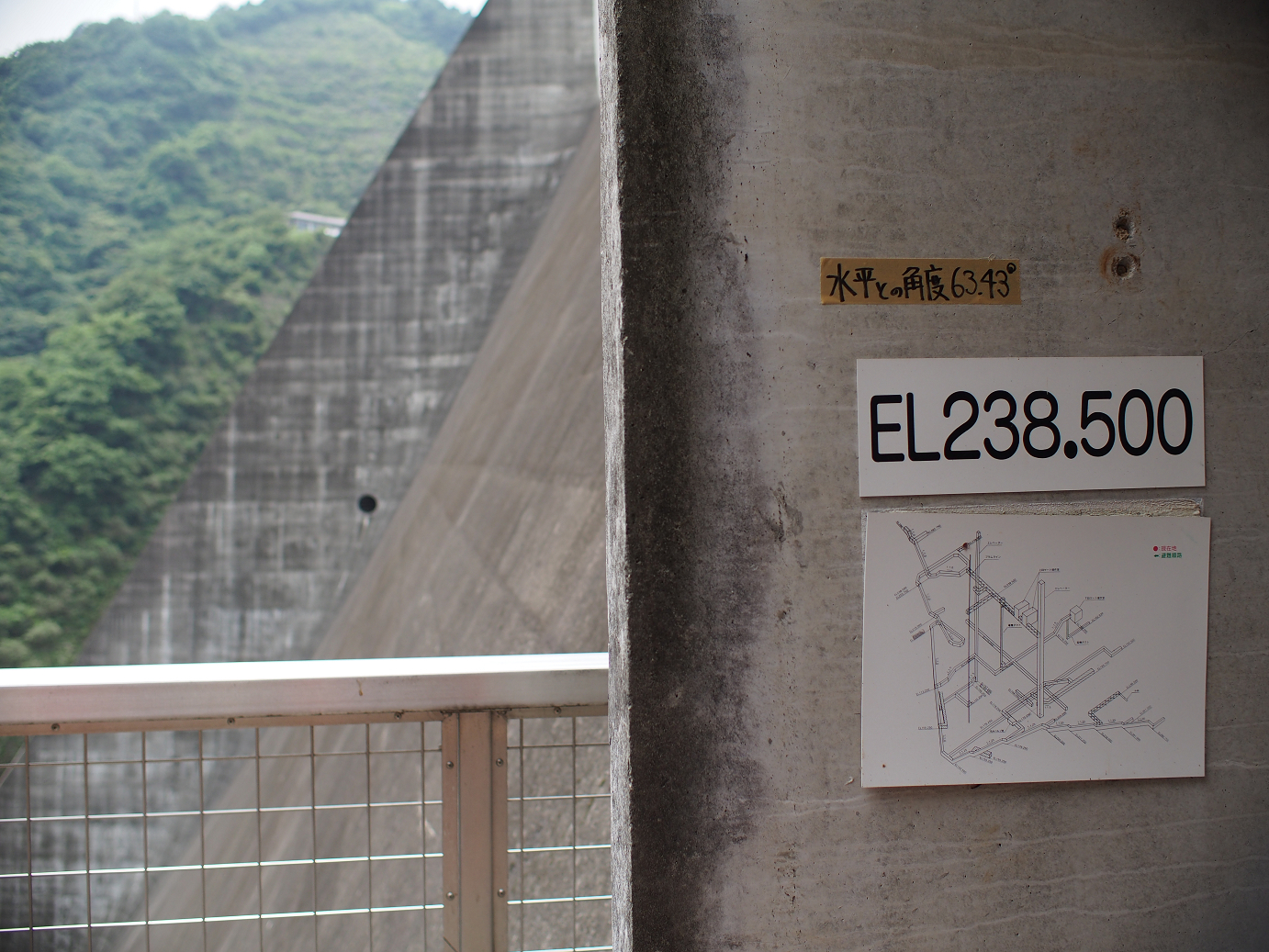 P7270137.jpg