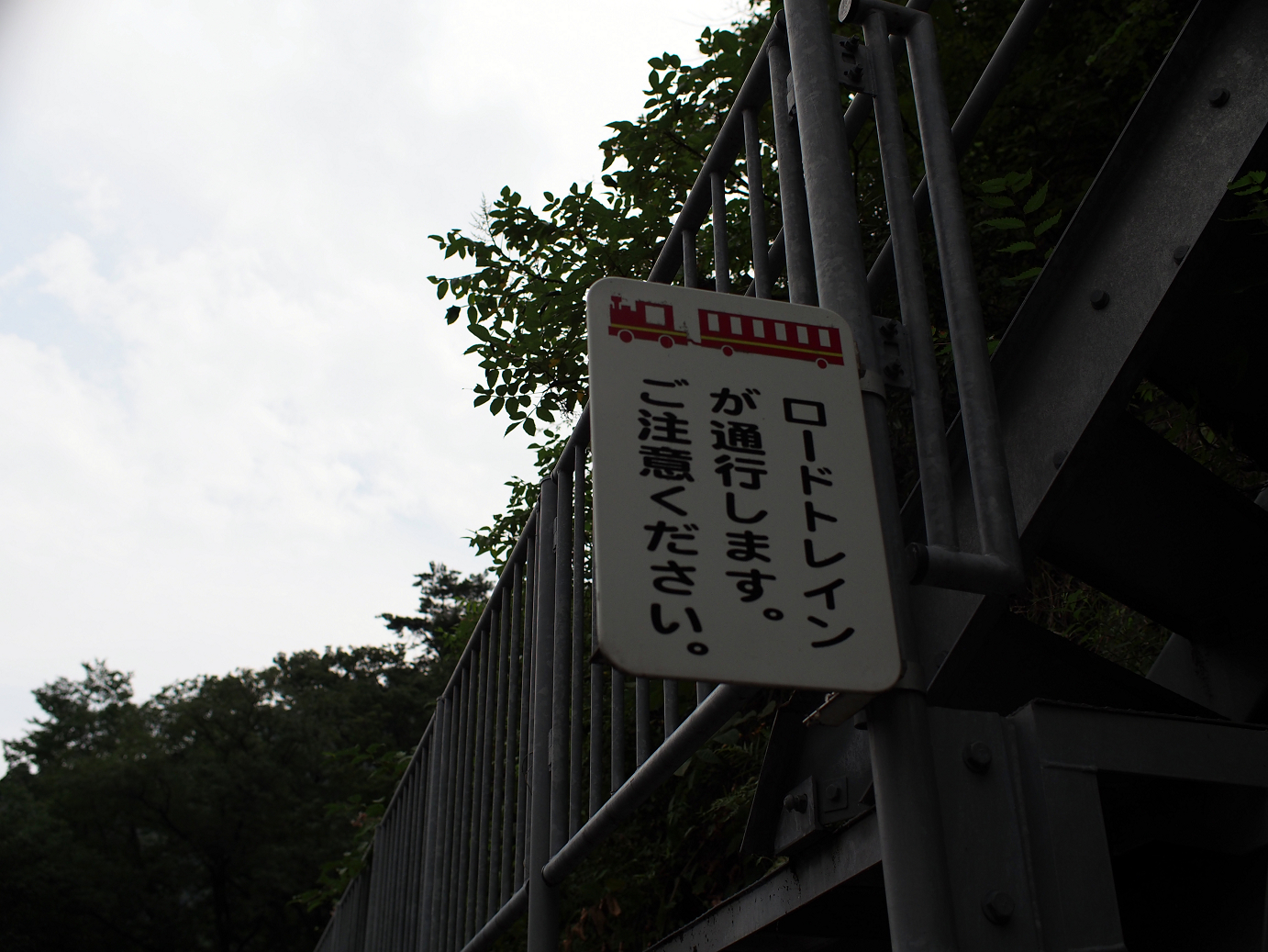 P7270208.jpg