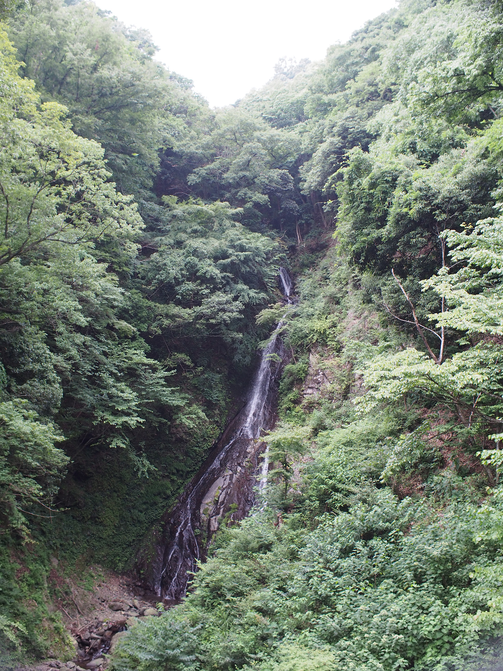 P7270209.jpg