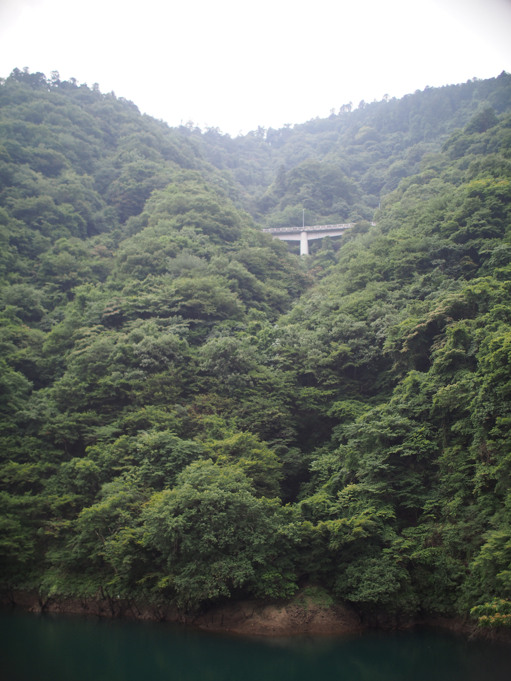 P7270210.jpg