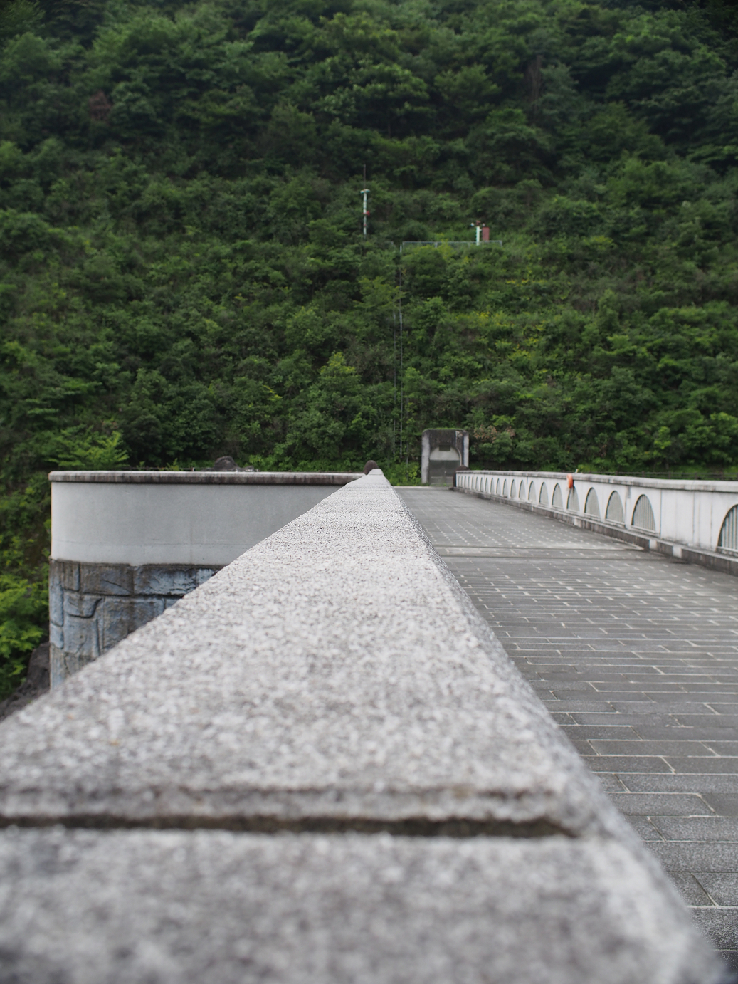 P7270221.jpg