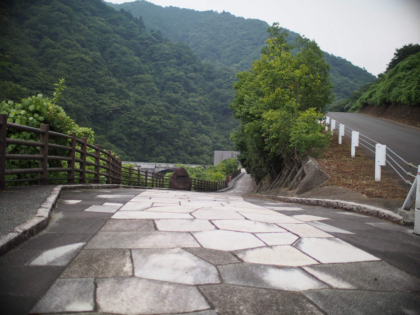 P7270230.jpg