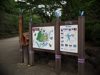 P7270232_thumb.png