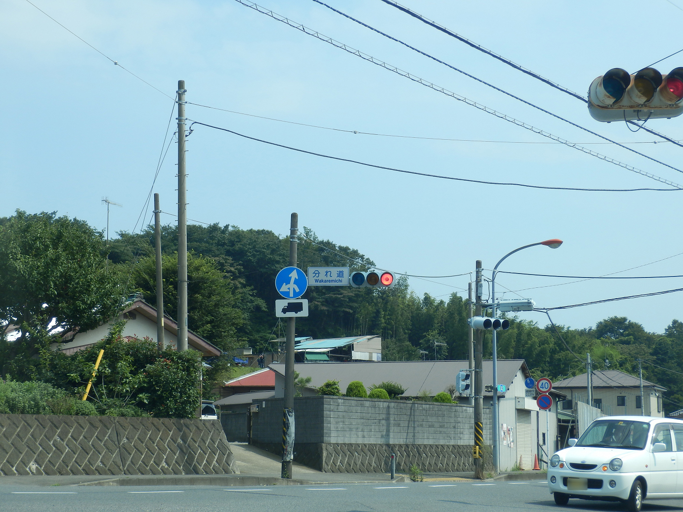 P7270235.jpg