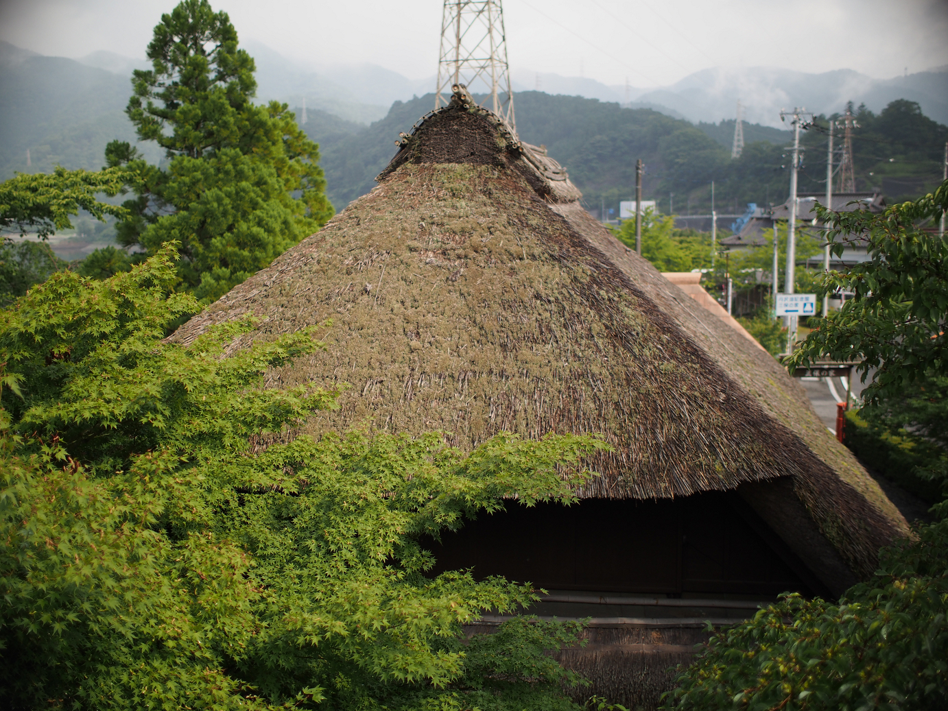 P7270245.jpg