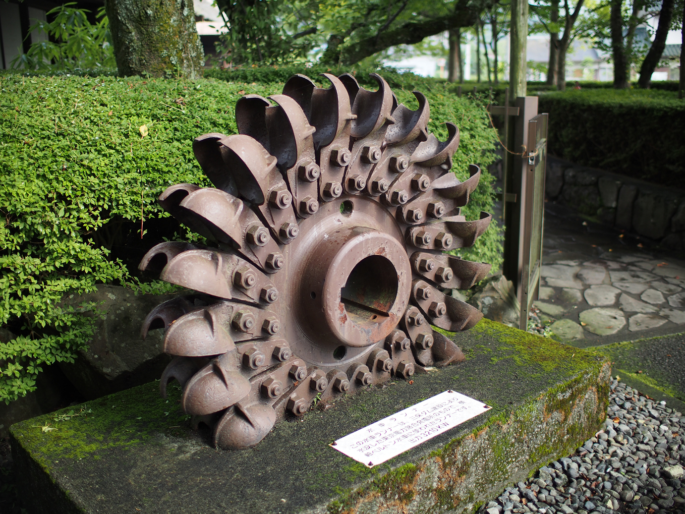 P7270246.jpg