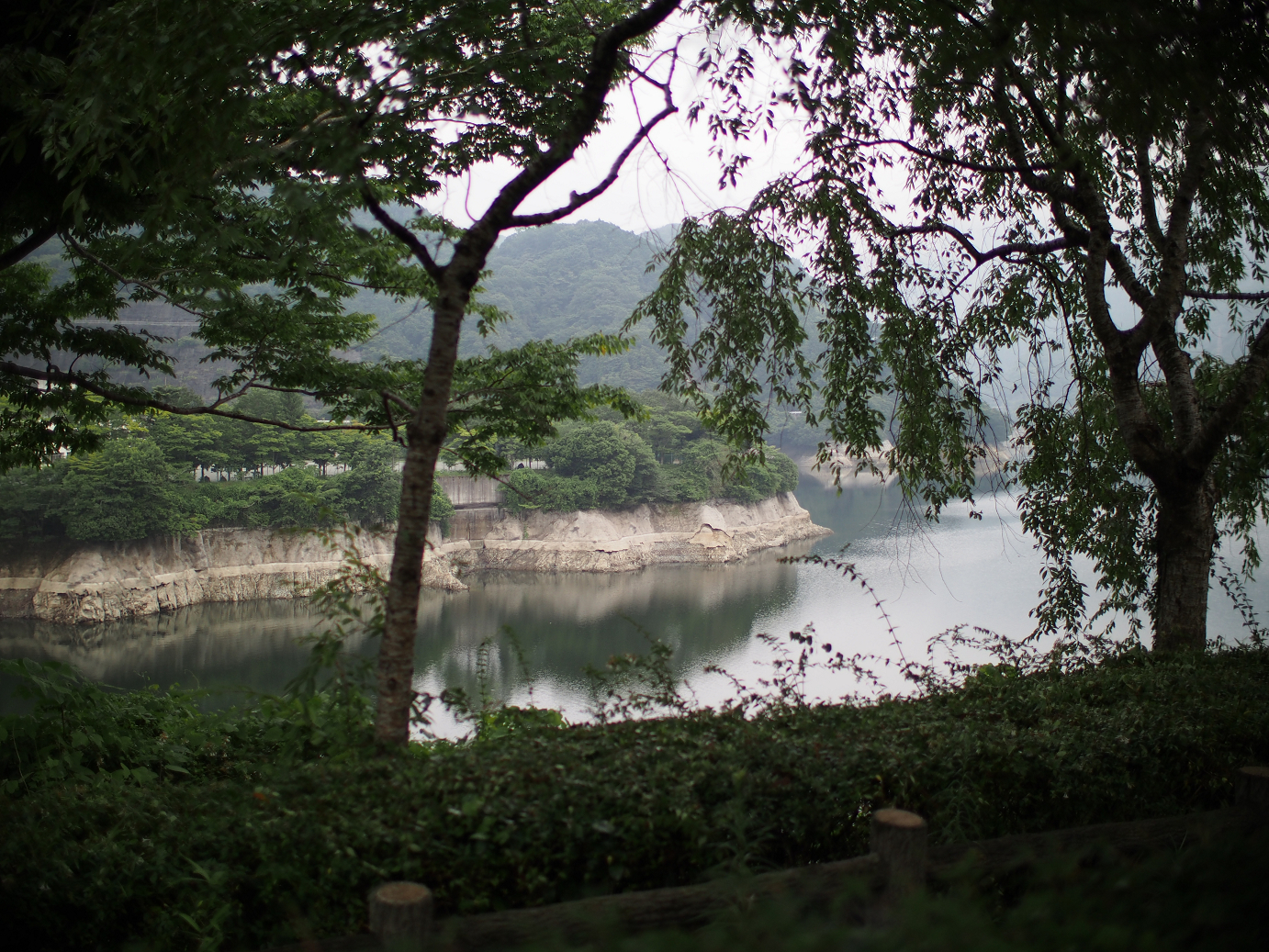 P7270256.jpg