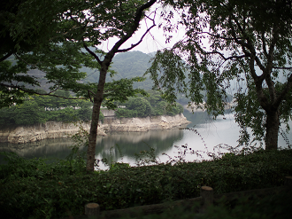 P7270256_thumb.png