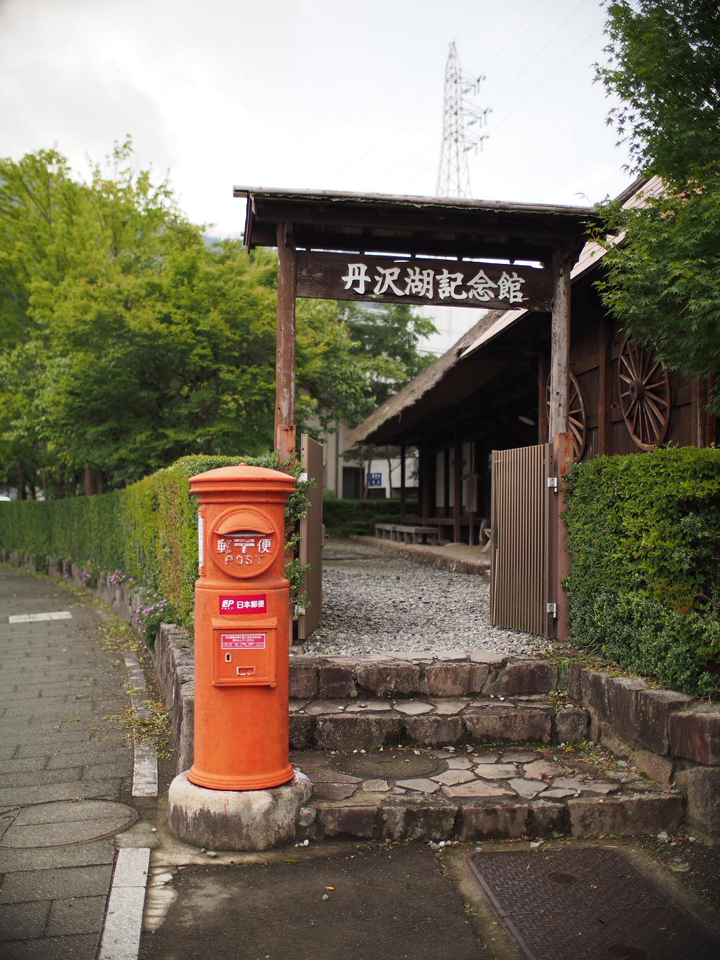 P7270259.jpg