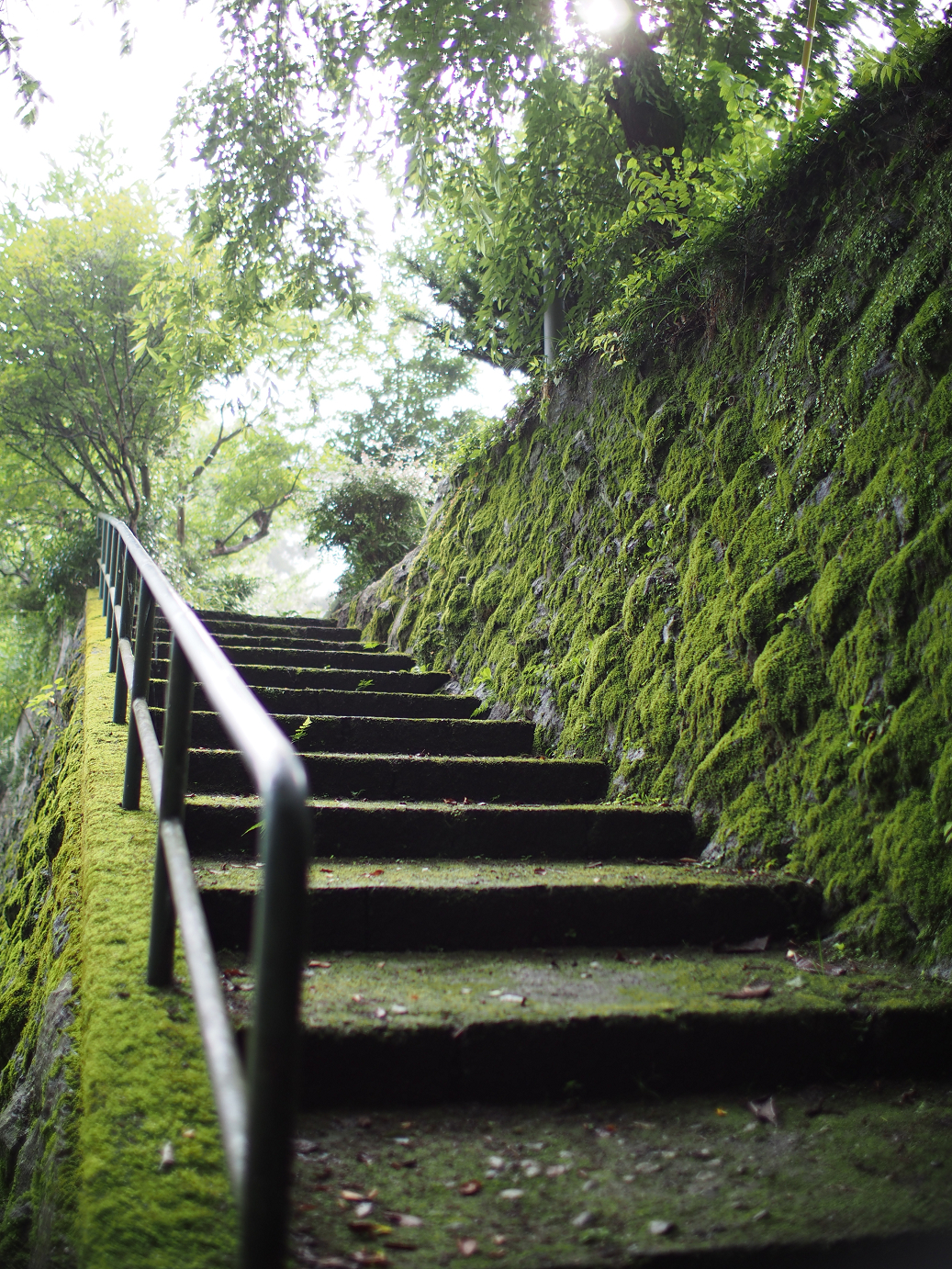 P7270270.jpg