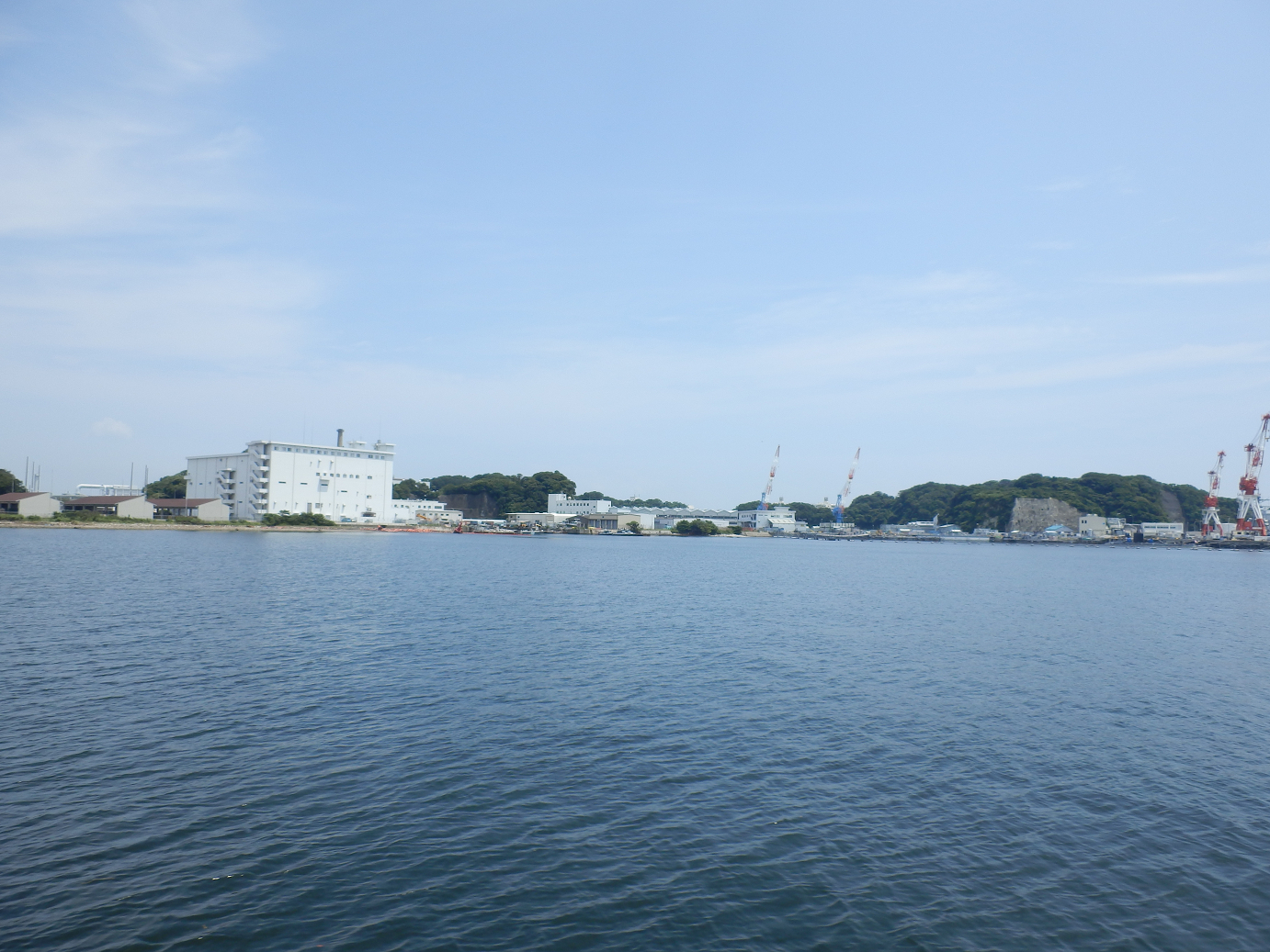 P7280113.jpg