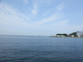P7280117_thumb.png