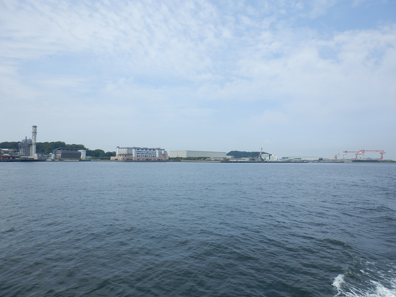 P7280134.jpg