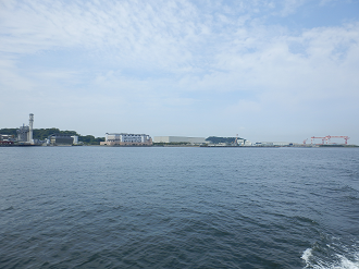 P7280134_thumb.png