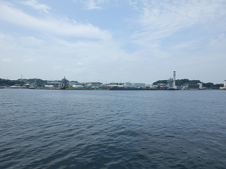 P7280135_thumb.png