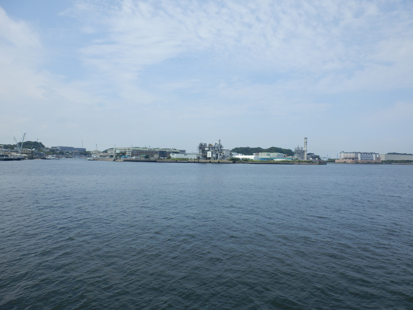 P7280142.jpg