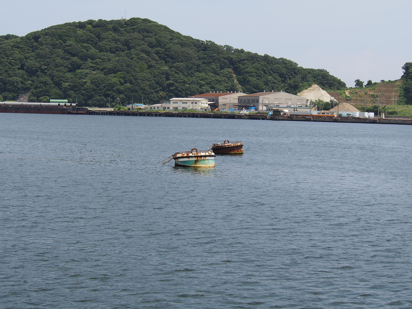 P7280172.jpg