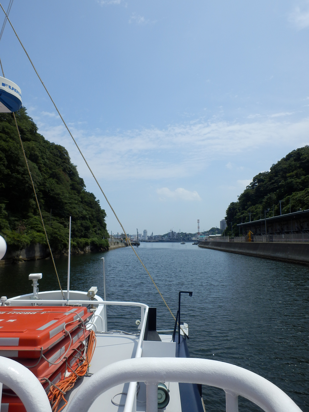 P7280191.jpg