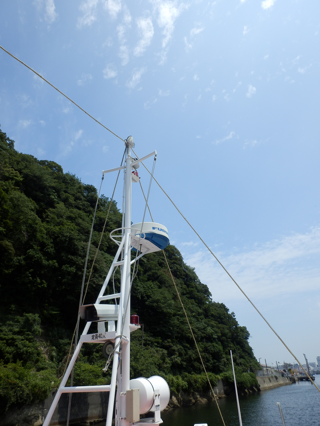 P7280193.jpg