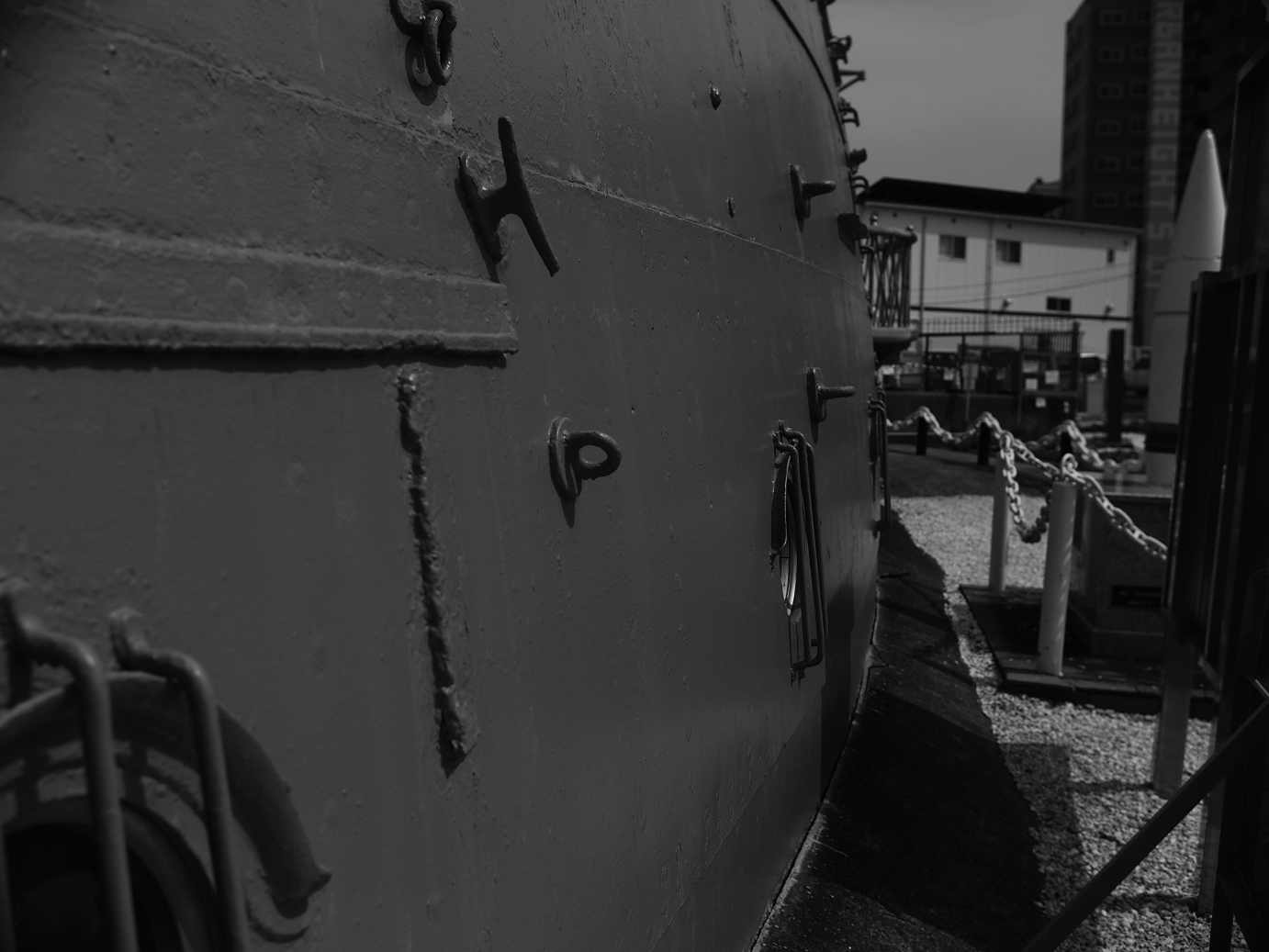 P7280271.jpg
