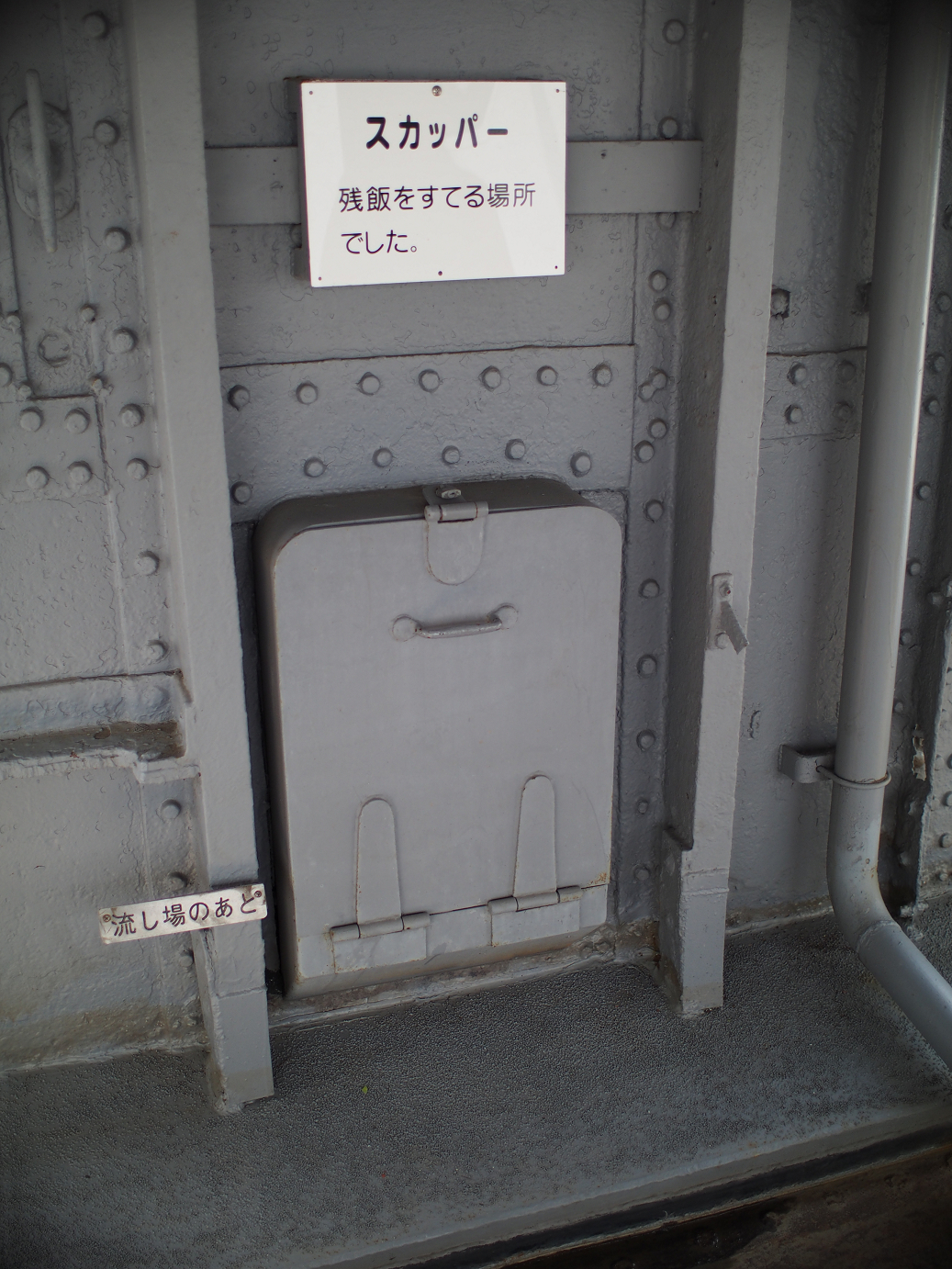 P7280307.jpg