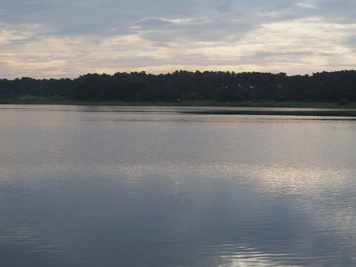 P8250011.jpg